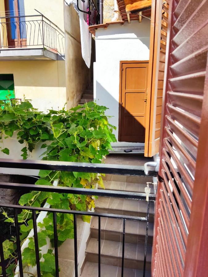 Villa Da Piero&Lilia Centola Esterno foto